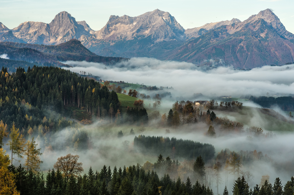 Kalkalpen National Park (Official GANP Park Page)